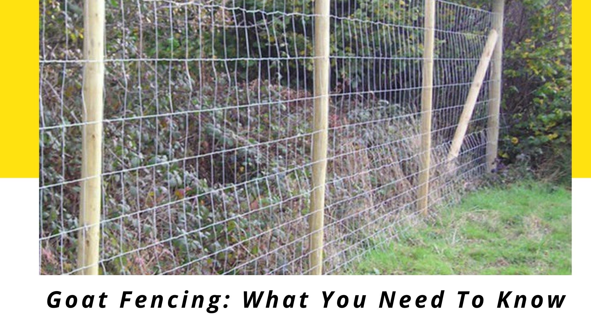 commercial fence company