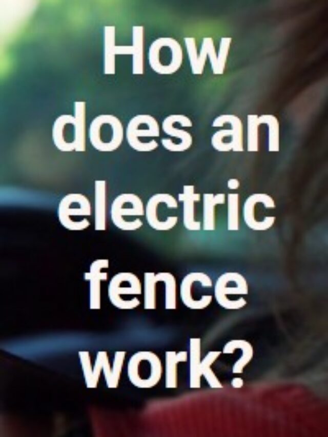 What are the Benefits of Investing in an Electric Fence in 2023?