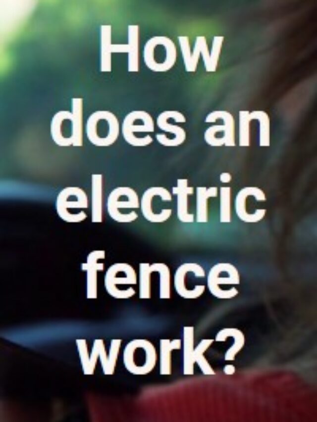 electric fence benefit in 2023